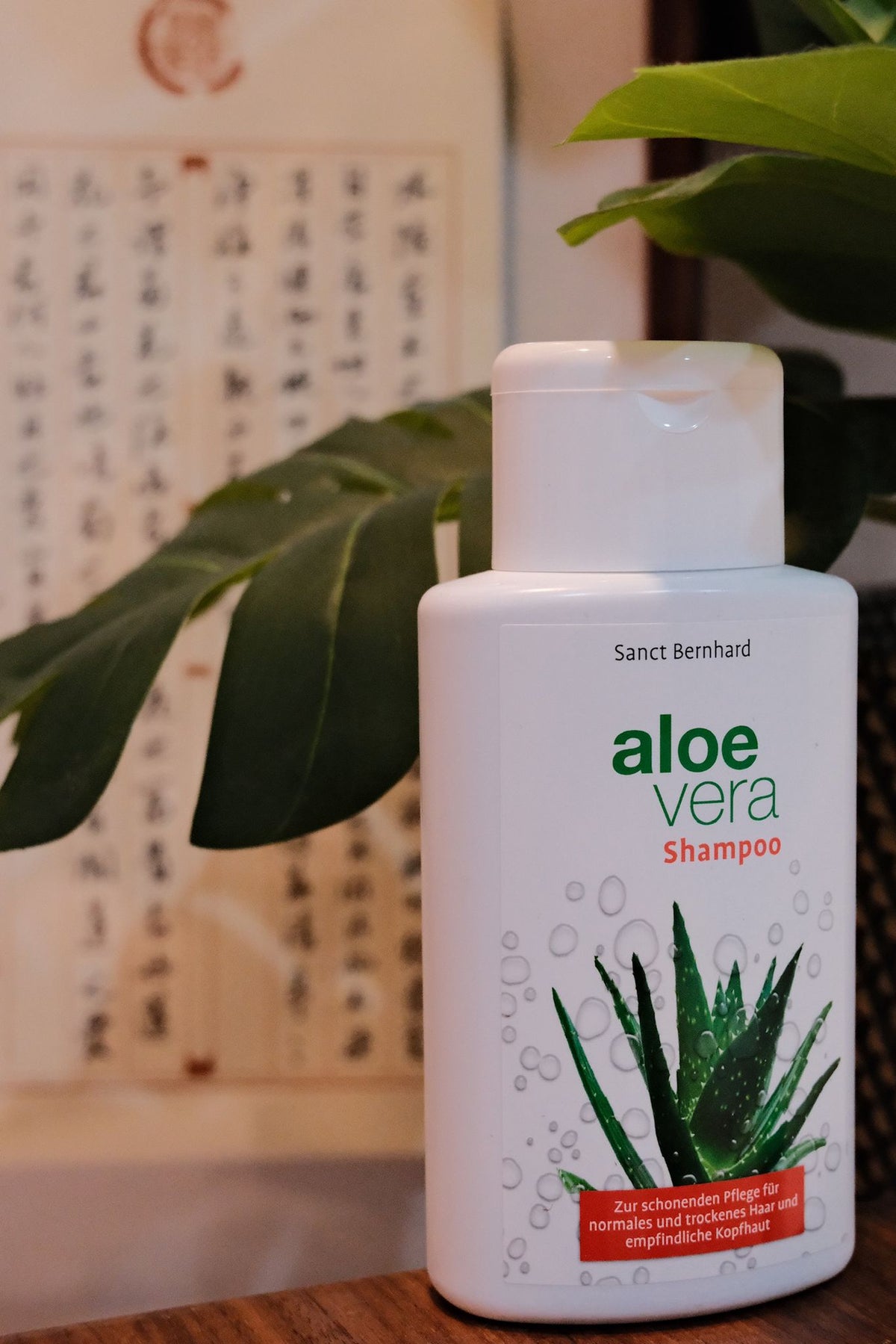 Aloe Vera Shampoo